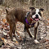 Thumbnail photo of Mister #2