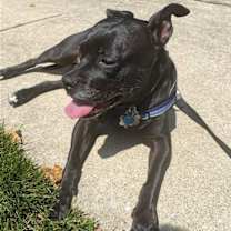 Thumbnail photo of ELLIE (COURTESY POST) #2