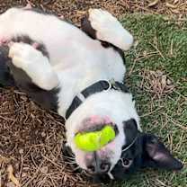 Thumbnail photo of Claudia #3