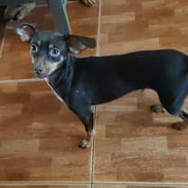 Thumbnail photo of Grace #2