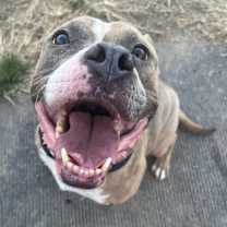 Thumbnail photo of Bonnie #2
