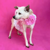 Thumbnail photo of Abigail #1