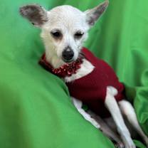 Thumbnail photo of Abigail #3