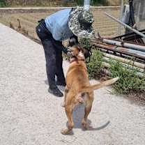 Thumbnail photo of Maggie #2