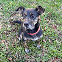 Thumbnail photo of Bane #2