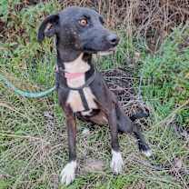 Thumbnail photo of EVA #4