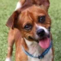 Thumbnail photo of Wesley #1