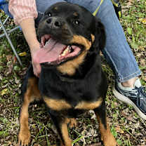 Thumbnail photo of SNICKERS 2 #2