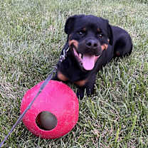 Thumbnail photo of SNICKERS 2 #1