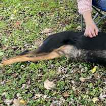 Thumbnail photo of SNICKERS 2 #3