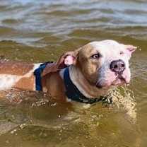 Thumbnail photo of Buddy #1