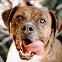 Thumbnail photo of Fred #1