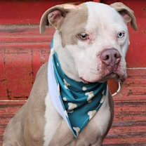 Thumbnail photo of Coffee #1