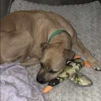 Thumbnail photo of Rock #2