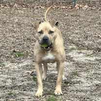 Thumbnail photo of Rock #3