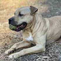 Thumbnail photo of Rock #4