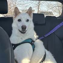 Thumbnail photo of Casper of MD #1