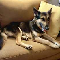 Thumbnail photo of Eli #2