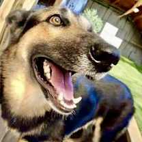 Thumbnail photo of Eli #4