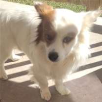 Thumbnail photo of Isaac #4