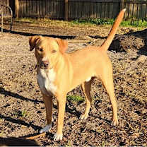 Thumbnail photo of Tucker Lake #2