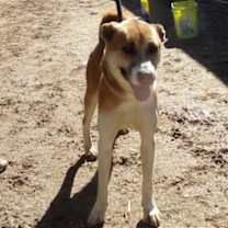 Thumbnail photo of Wynn #2