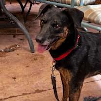 Thumbnail photo of Star #2