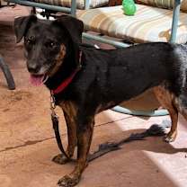 Thumbnail photo of Star #3