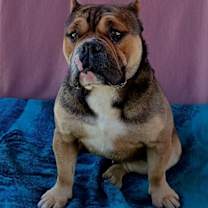 Thumbnail photo of ET #2