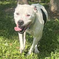 Thumbnail photo of Maisy #3