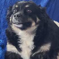 Thumbnail photo of Layla Walworth Kramer #1