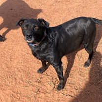 Thumbnail photo of Cece #1