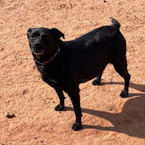 Thumbnail photo of Cece #2