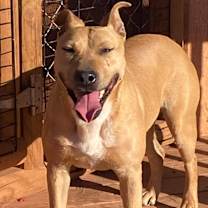 Thumbnail photo of Hannah #1