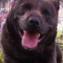 Thumbnail photo of Monica #1