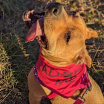 Thumbnail photo of Pinkie #2