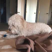 Thumbnail photo of LEON-Urgent-Help needed #1