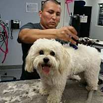 Thumbnail photo of LEON-Urgent-Help needed #2