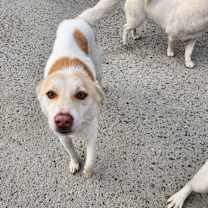 Thumbnail photo of Tom #4