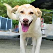 Thumbnail photo of Tom #1