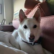 Thumbnail photo of Casper of MD #2