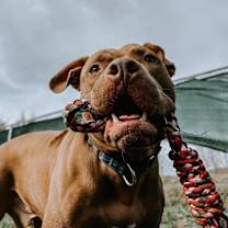 Thumbnail photo of Charlie #1