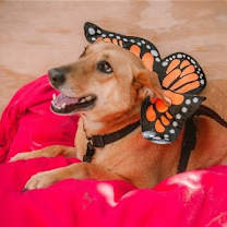 Thumbnail photo of Wendolyn #1