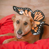 Thumbnail photo of Wendolyn #3