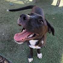 Thumbnail photo of Jenny #4