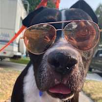 Thumbnail photo of Gordo #4