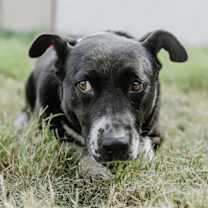 Thumbnail photo of Emma #2