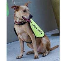 Thumbnail photo of Manny #1