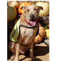 Thumbnail photo of Manny #2