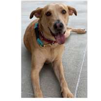 Thumbnail photo of Manny #4